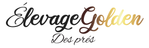 Élevage Golden des Prés Logo